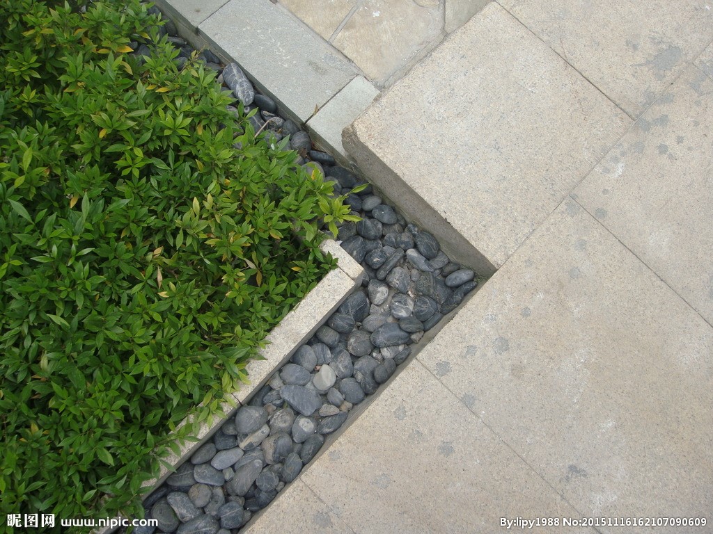 20083625_9_2